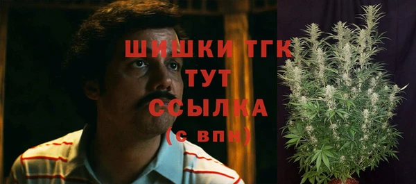СК Богородицк