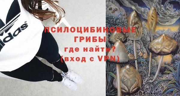 СК Богородицк