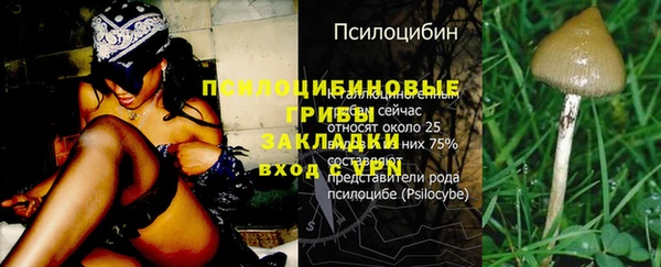 амфетамин Богородск