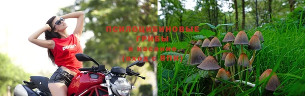 амфетамин Богородск