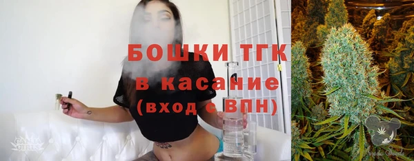 СК Богородицк