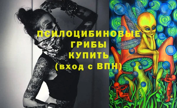 СК Богородицк