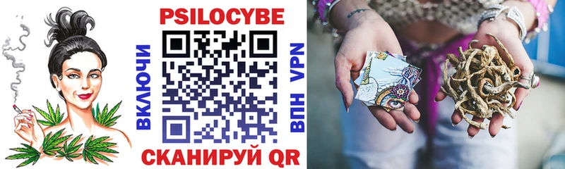 Псилоцибиновые грибы GOLDEN TEACHER  как найти   Муравленко 